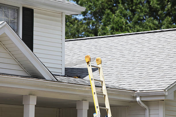 Best Shed Removal  in Hughesville, MD